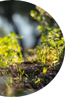 Latest Products Background 1